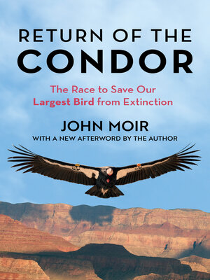 cover image of Return of the Condor
